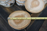 Set of 15 4.5"- 5" Large Aspen Wood Slices