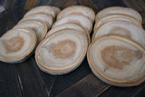 Set of 25 4.5"- 5" Aspen Wood Slices