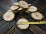 Set of 50 2"-3" Wood Slices