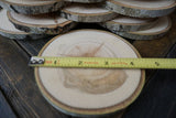 Set of 20 4"-4.5" Wood Slices