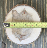 Set of 10 (3-3.5") Wood Slices