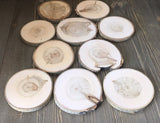 Set of 10 (3-3.5") Wood Slices