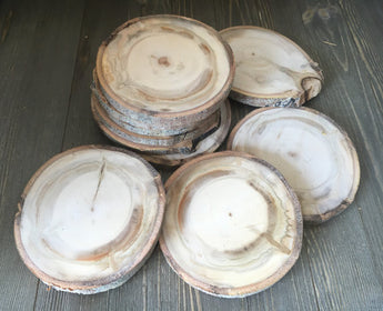 Set of 10 (4-4.5") Large Wood Slices