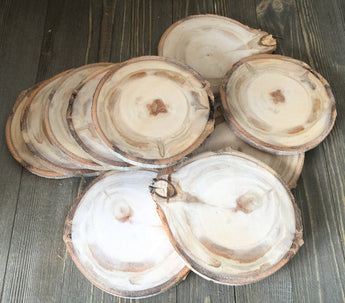 Set of 10 (4.5-5") Large Wood Slices